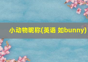 小动物昵称(英语 如bunny)